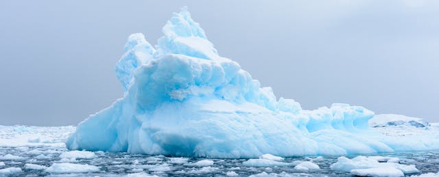 Personal Statements  2016: Icebergs and Other (Movie) Villains of My Education